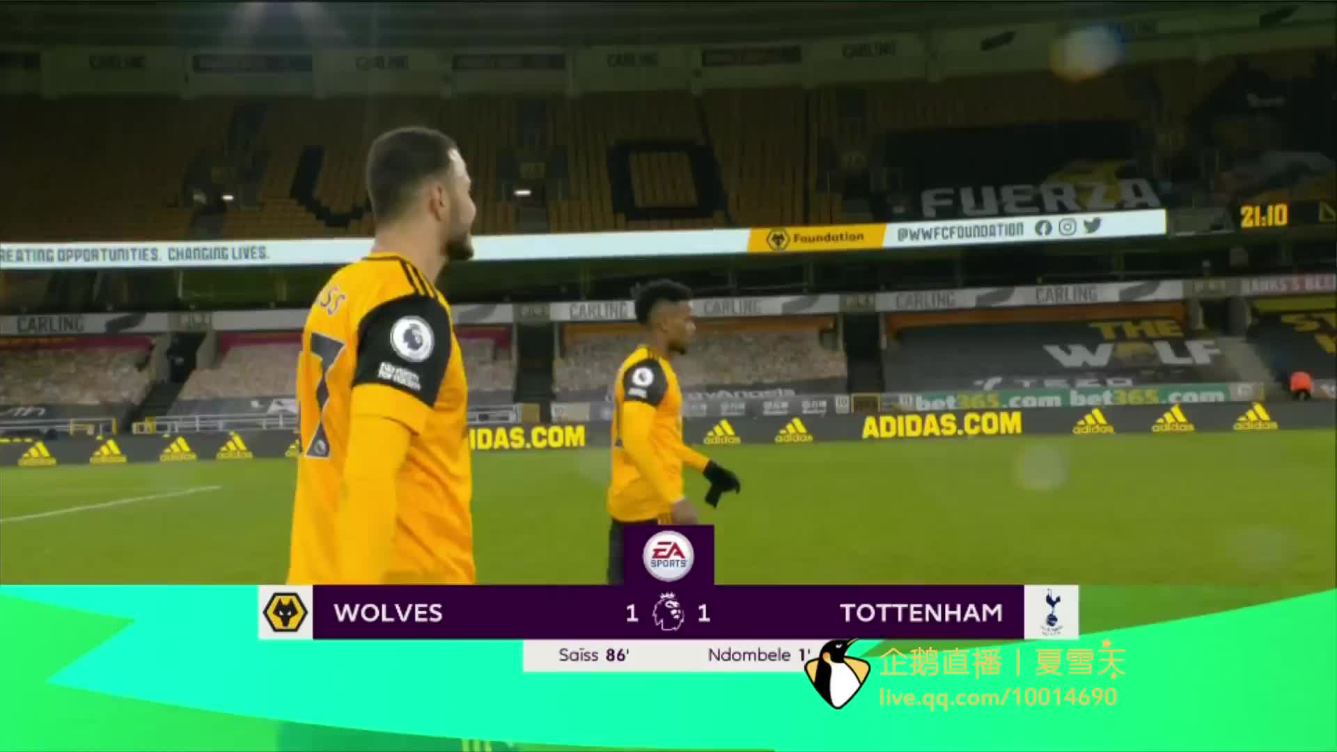 从而建立起 从而建立起