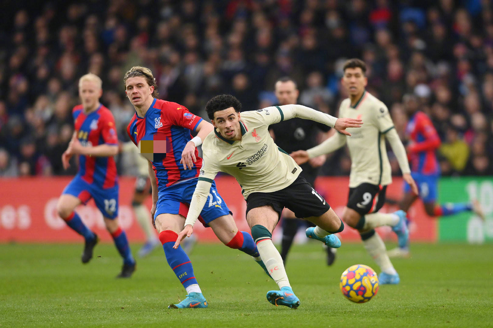 他的全面表 他的全面表